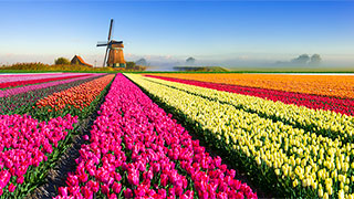 Bountiful Holland, Netherlands