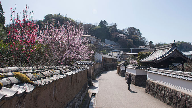 Walking Western Japan