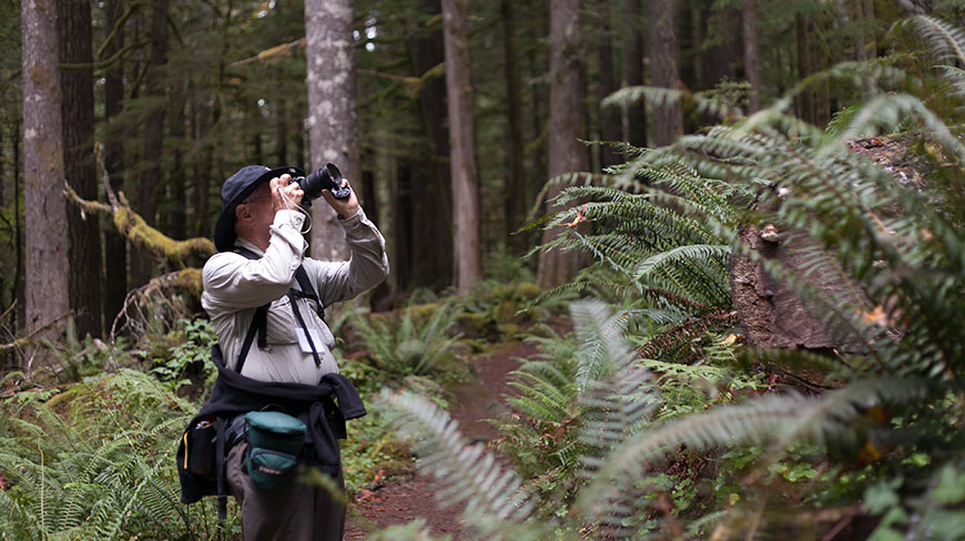 A photographer in a hat takes pictures of nature in a lush green forest near Mt. Hood in Oregon.