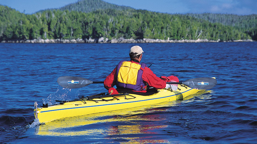 A person paddles a yellow kayak through calm blue water in Alaska, with a forested shoreline in the background.