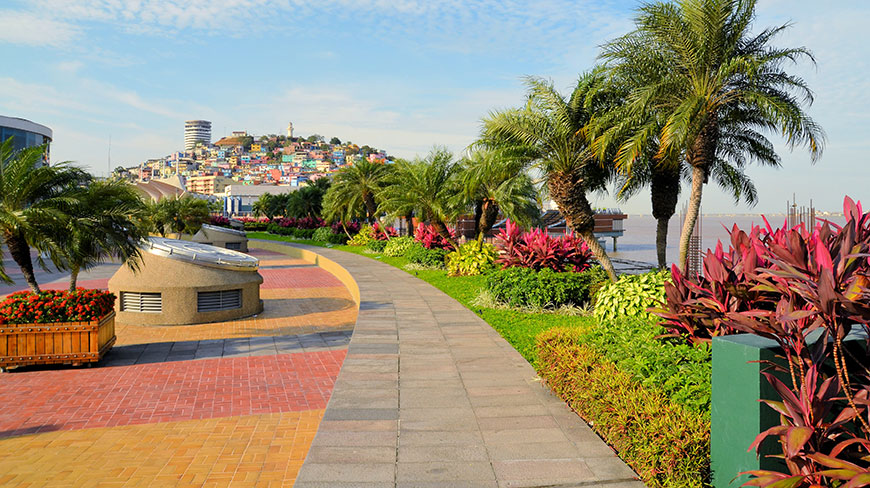 A winding path on the Malecon in Guayaquil, Ecuador, is lined with palm trees and colorful plants, with the Las Peñas neighborhood in the background.