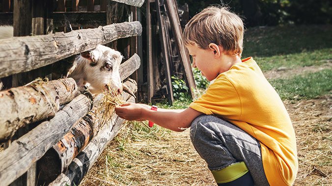 Vermont, Intergen, Cooking