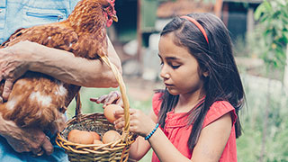 Vermont, Intergen, Cooking