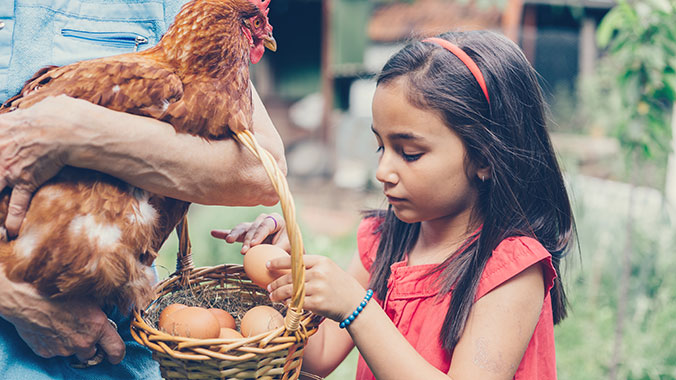 Vermont, Intergen, Cooking