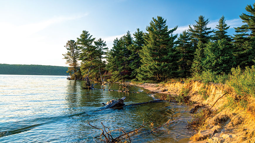 Sunlight illuminates the sandy banks and pine trees along the calm shoreline of Lake Superior in Wisconsin.