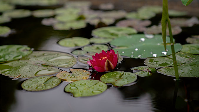 Winter in Madeira: The Island of Eternal Sunshine