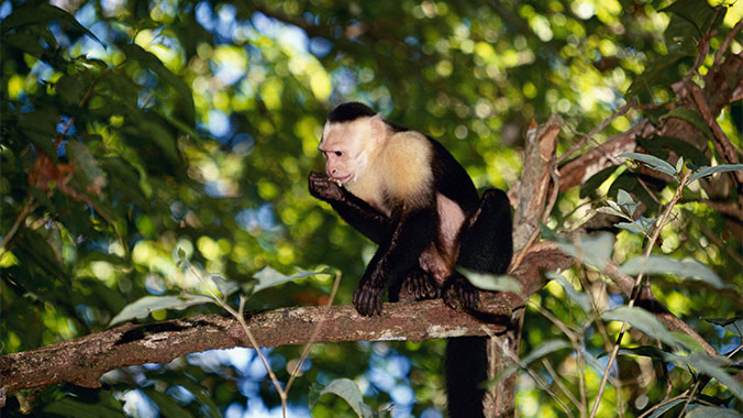 From Cloud Forests to Volcanoes: Costa Rica With Your Family