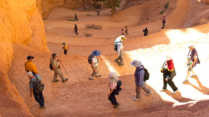 The Best of Utah's Grand Circle of Parks and Monuments