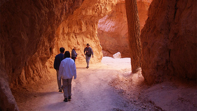 The Best of Utah's Grand Circle of Parks and Monuments