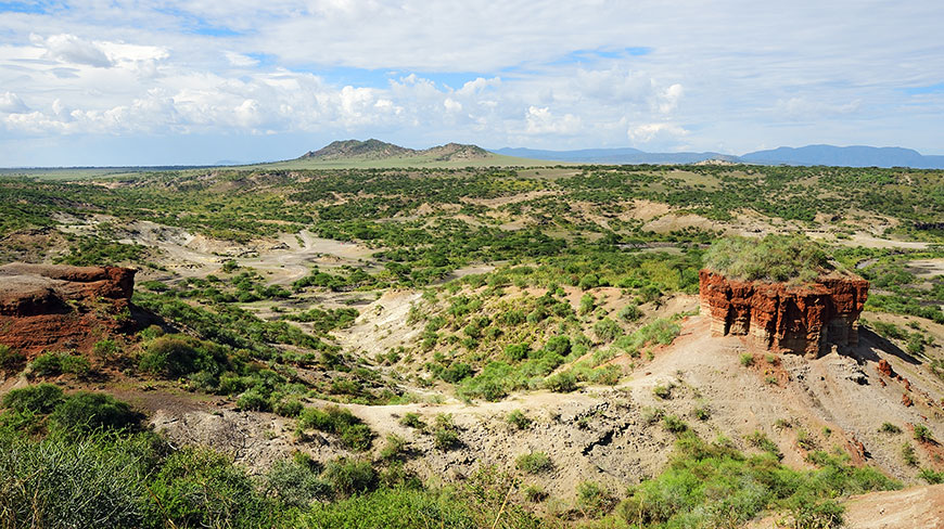 A wide, sweeping view of the rugged Olduvai Gorge in Tanzania, with its arid landscape, scattered green bushes, and distant hills under a cloudy sky.