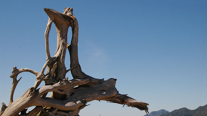 Kayaking the Lower Columbia River: Exploration and Discovery