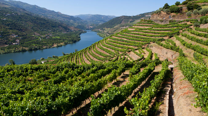 Discoveries Along the Douro: Portugal’s Best-Kept Secrets