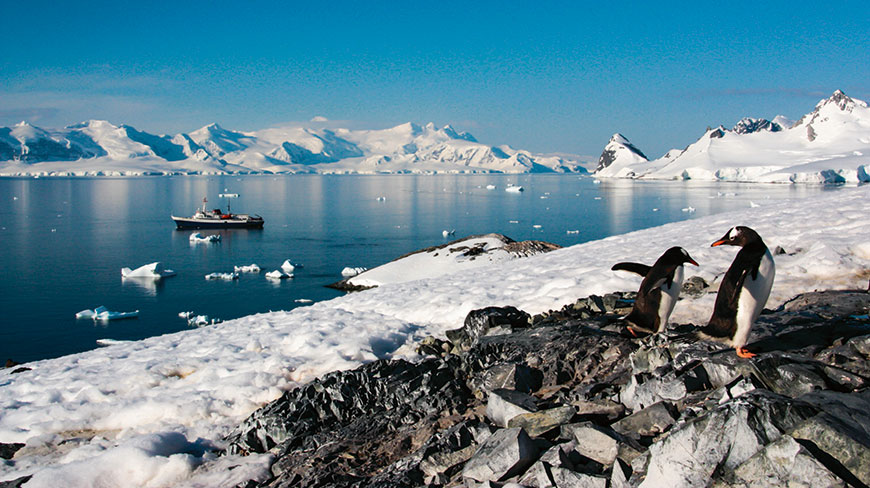 Two penguins stand on a rocky, snow-covered shore, looking out at a ship in the water with large, icy mountains in the background.