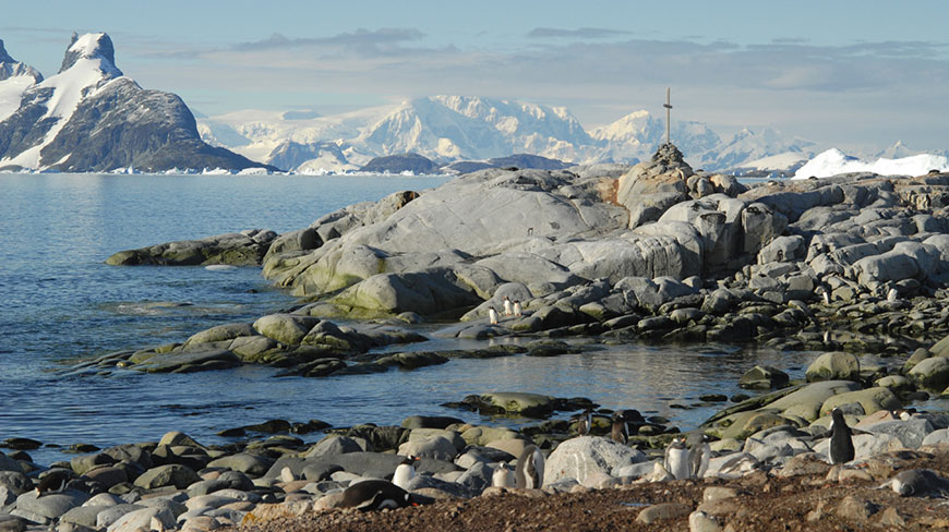 A colony of penguins dot a rocky shoreline in the South Shetland Islands, with snow-covered mountains rising from the sea in the background.
