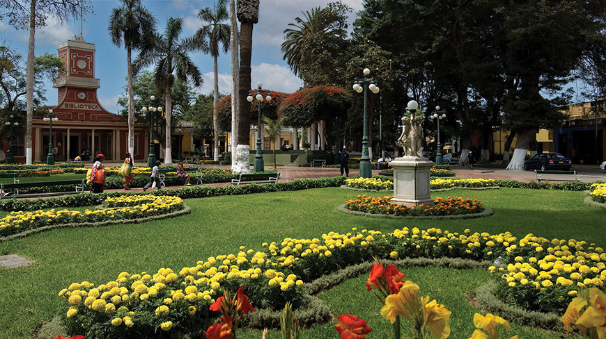 A sunny day in a park in Barranco, Lima, Peru with yellow flowerbeds, palm trees, and a historic library building.