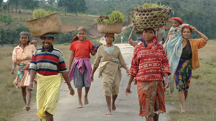 A group of women walk along a rural road in Madagascar, carrying woven baskets of freshly harvested plants on their heads.